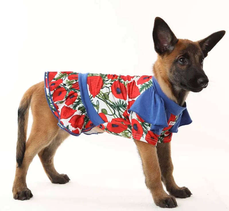 Amapola Pawty - Pet Dress