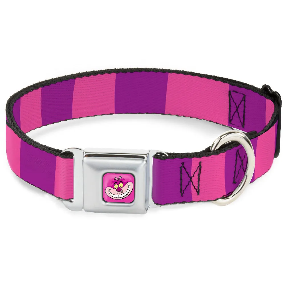 Cheshire Cat Face Full Color Pink Seatbelt Buckle Collar - Cheshire Cat Stripe Pink/Purple by Buckle-Down