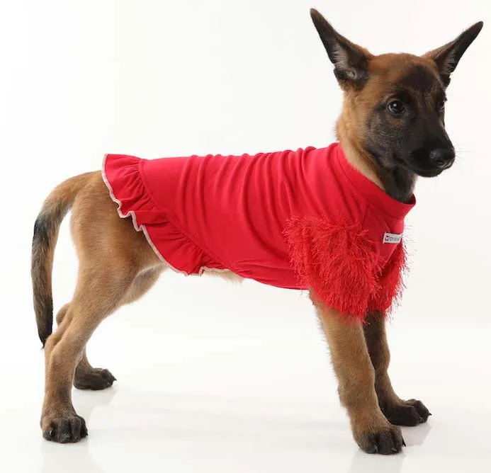 Navidog Furry Sleeves Chic - Dog or Cat Dress